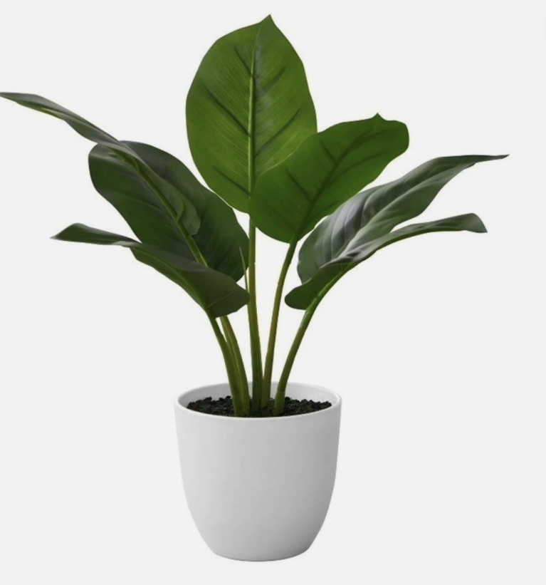 planta2