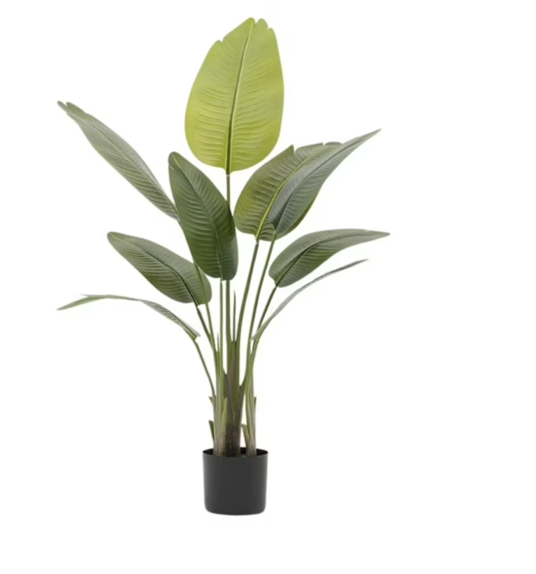 Planta 1